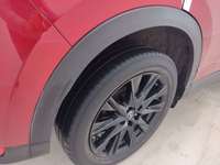 Szczegółowe zdjęcie