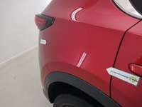 Szczegółowe zdjęcie