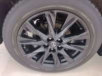 Szczegółowe zdjęcie