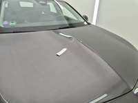 Szczegółowe zdjęcie