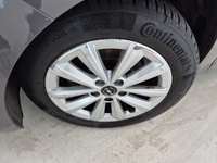 Szczegółowe zdjęcie