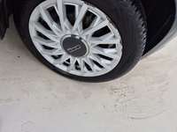 Szczegółowe zdjęcie