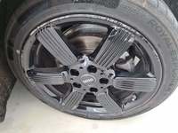 Szczegółowe zdjęcie