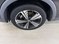 Szczegółowe zdjęcie