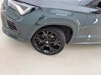 Szczegółowe zdjęcie