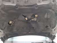 Szczegółowe zdjęcie