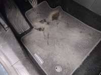 Szczegółowe zdjęcie