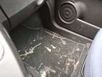 Szczegółowe zdjęcie