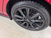 Szczegółowe zdjęcie