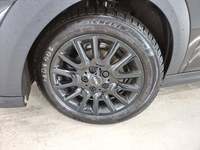 Szczegółowe zdjęcie