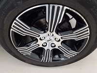 Szczegółowe zdjęcie