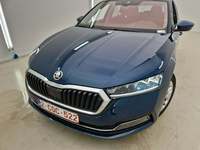 Szczegółowe zdjęcie