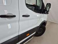 Szczegółowe zdjęcie