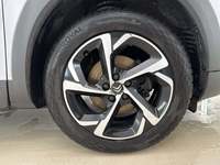 Szczegółowe zdjęcie