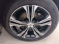 Szczegółowe zdjęcie