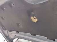 Szczegółowe zdjęcie