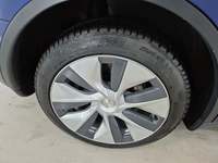 Szczegółowe zdjęcie