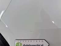 Szczegółowe zdjęcie