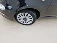 Szczegółowe zdjęcie