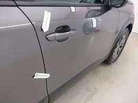 Szczegółowe zdjęcie