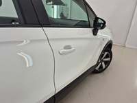 Szczegółowe zdjęcie