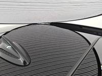 Szczegółowe zdjęcie