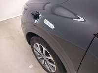 Szczegółowe zdjęcie