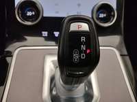 Szczegółowe zdjęcie