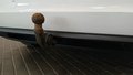 View of trailer tow-bar hitch