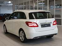 Vedere spate stânga