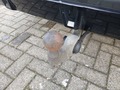 View of trailer tow-bar hitch