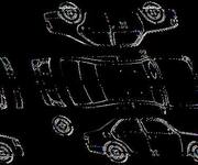 Detalizēta fotogrāfija