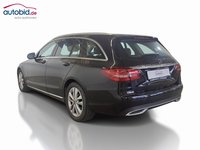 Vista posteriore sinistra