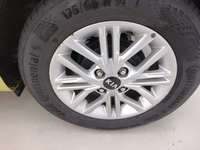 Szczegółowe zdjęcie