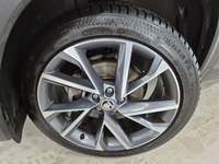 Szczegółowe zdjęcie