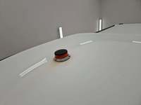 Szczegółowe zdjęcie