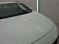 Szczegółowe zdjęcie