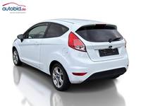 Vista posteriore sinistra