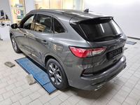 Szczegółowe zdjęcie