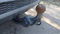 View of trailer tow-bar hitch