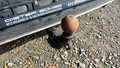 View of trailer tow-bar hitch