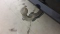 View of trailer tow-bar hitch