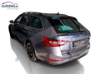 Vista posteriore sinistra