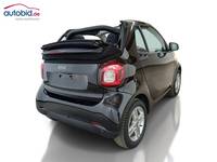 Вид сзади справа