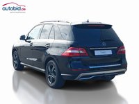 Vista traseira esquerda