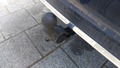 View of trailer tow-bar hitch