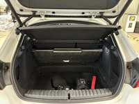 Szczegółowe zdjęcie