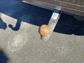 View of trailer tow-bar hitch