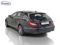 Vista posteriore sinistra