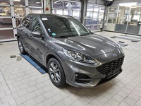 Szczegółowe zdjęcie